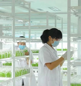 丝瓜视频在线播放儀器