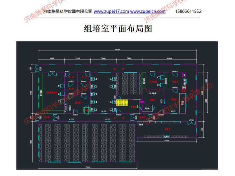 丝瓜视频在线播放室
