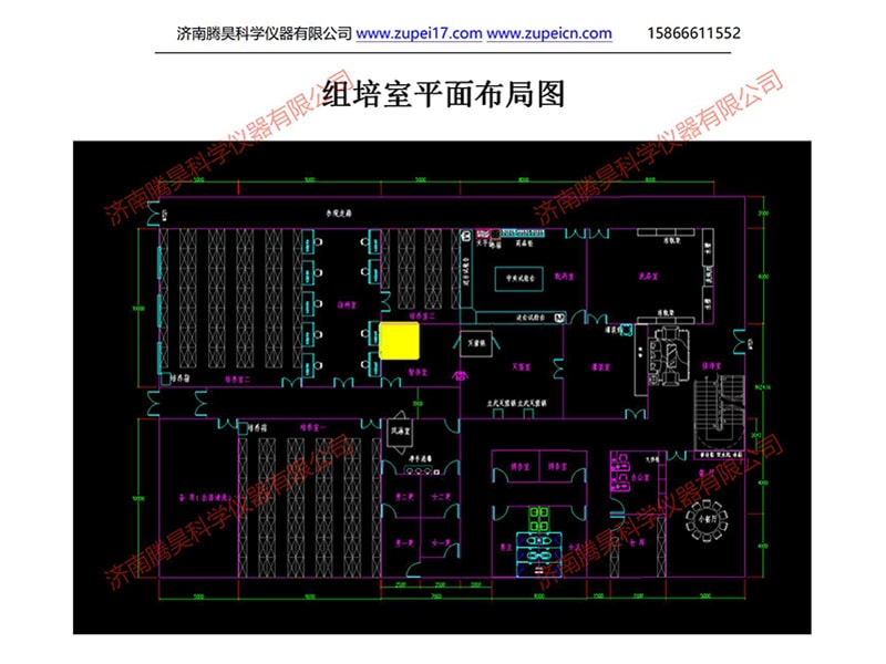 丝瓜视频在线播放室