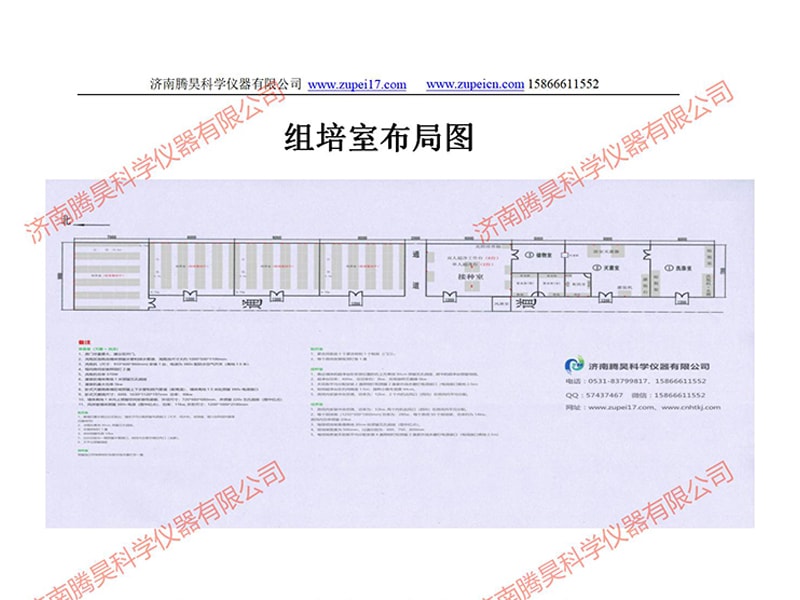 丝瓜视频在线播放室