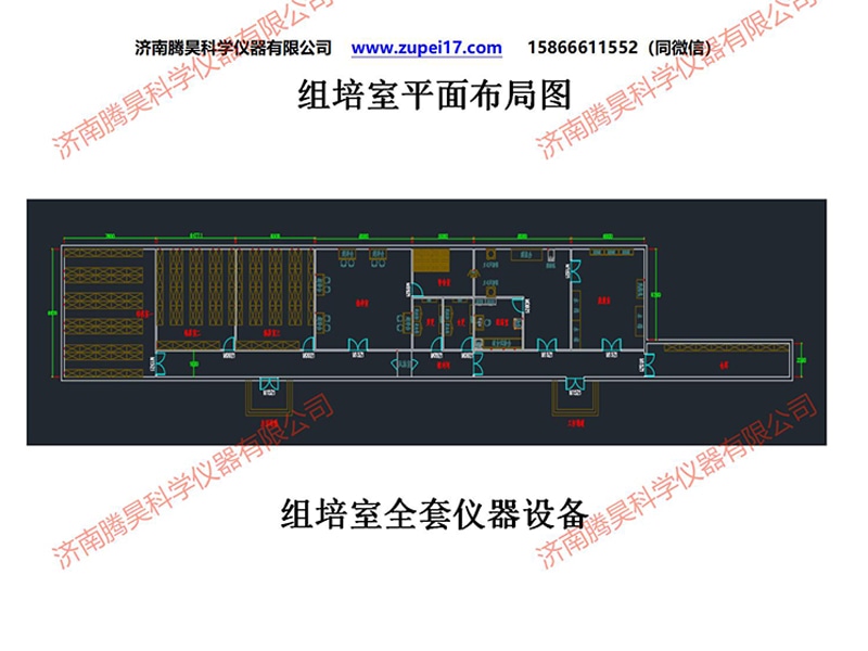 丝瓜视频在线播放  丝瓜视频在线播放室