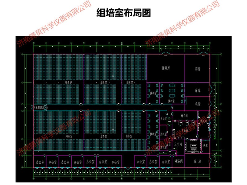 丝瓜视频在线播放室