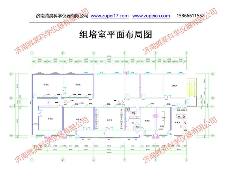 丝瓜视频在线播放室