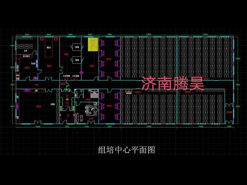 丝瓜视频在线播放  丝瓜视频在线播放室