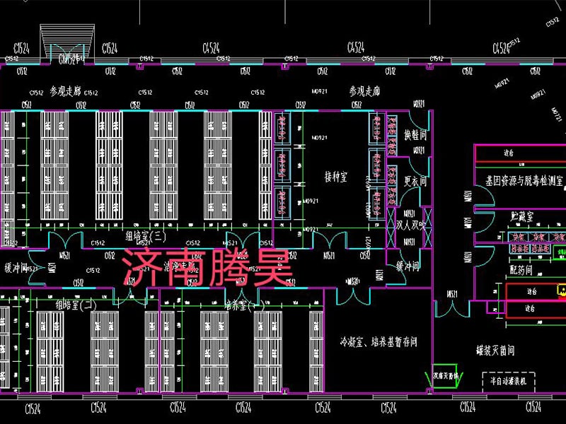 丝瓜视频在线播放  丝瓜视频在线播放室
