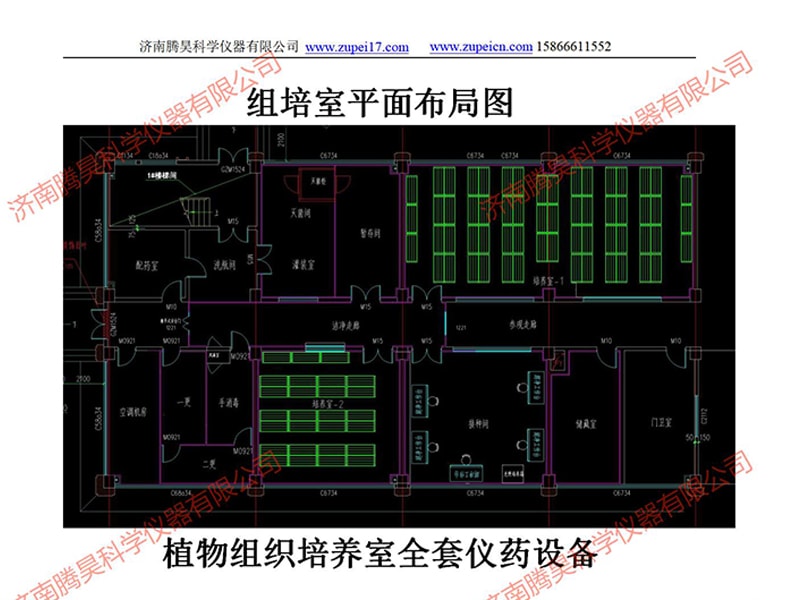 丝瓜视频在线播放室
