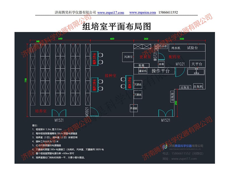 丝瓜视频在线播放室