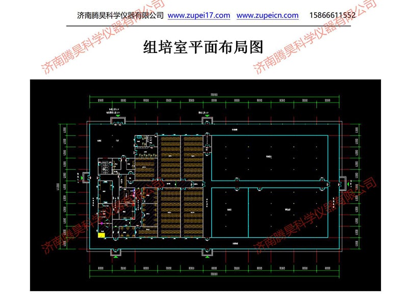 丝瓜视频在线播放  丝瓜视频在线播放室