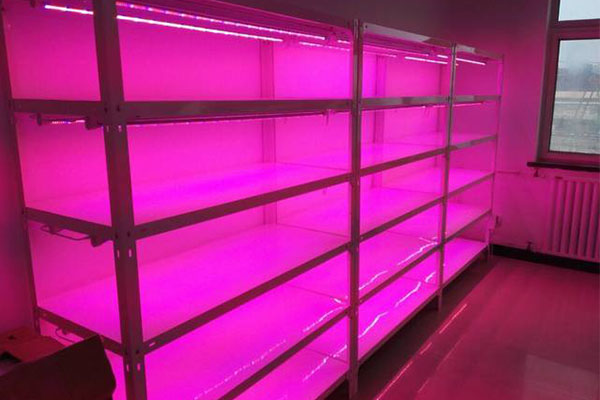 丝瓜视频在线播放儀器廠家