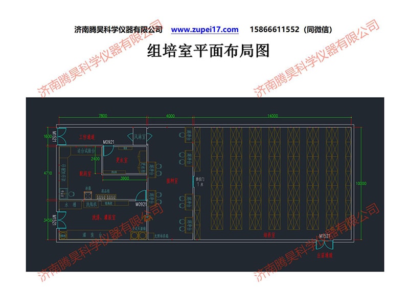 丝瓜视频在线播放室
