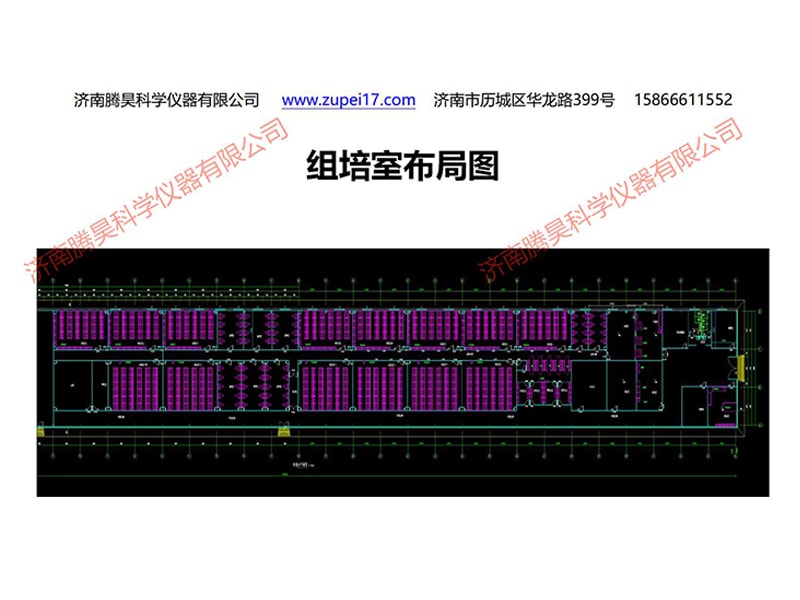 丝瓜视频在线播放  丝瓜视频在线播放室
