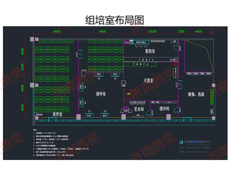 丝瓜视频在线播放室