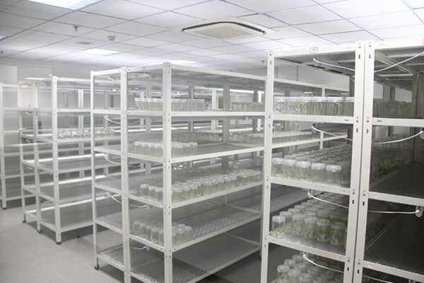 丝瓜视频在线播放架