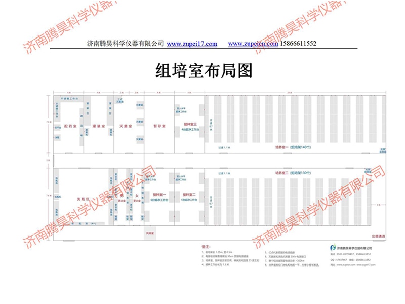 丝瓜视频在线播放室