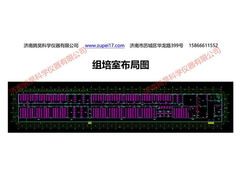 丝瓜视频在线播放室
