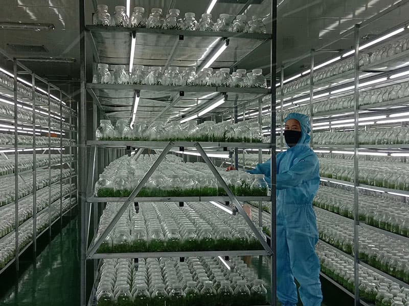 丝瓜视频在线播放  丝瓜视频在线播放架