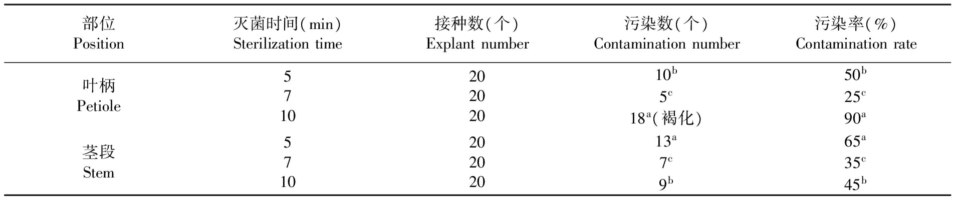 植物丝瓜视频在线播放設備