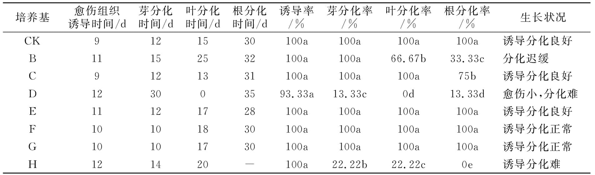 丝瓜视频在线播放設計圖