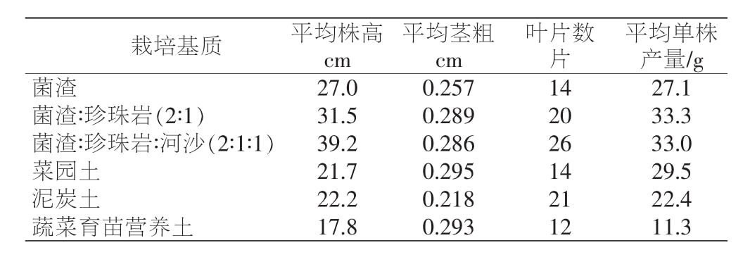 丝瓜视频在线播放室設計