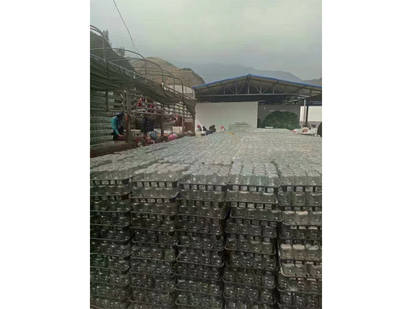 丝瓜视频在线播放室設計
