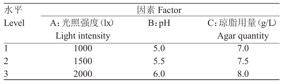 丝瓜视频在线播放室設計