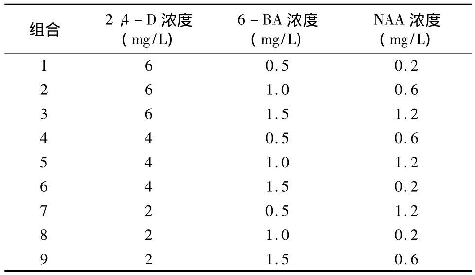 丝瓜视频在线播放實驗室