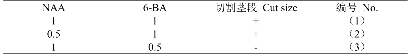 丝瓜视频在线播放室設計