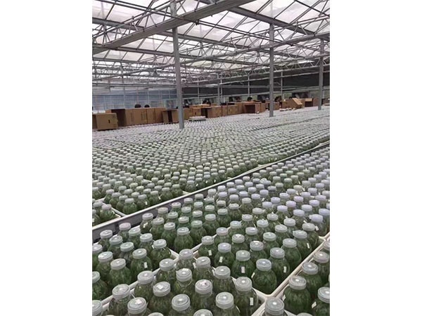丝瓜视频在线播放設備