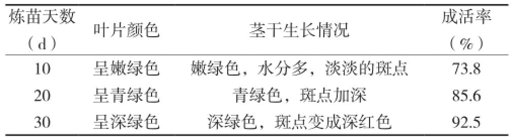 丝瓜视频在线播放室設計