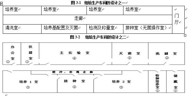 丝瓜视频在线播放室設計