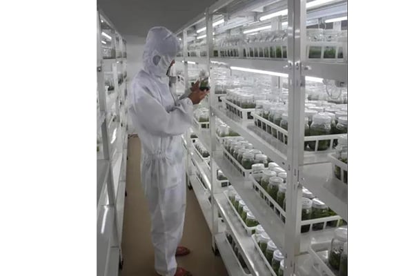 丝瓜视频在线播放