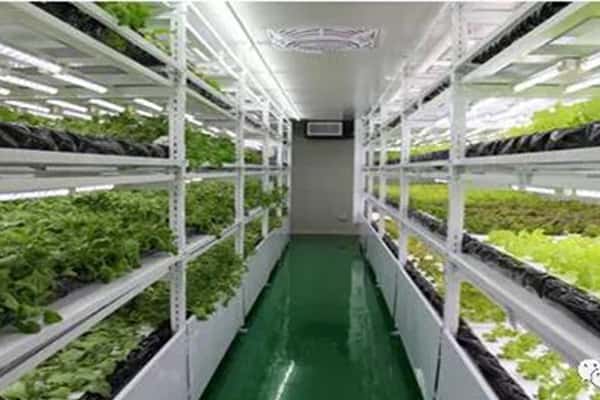 丝瓜视频在线播放
