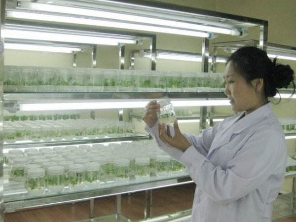 丝瓜视频在线播放