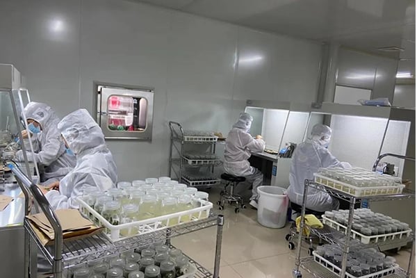 丝瓜视频在线播放