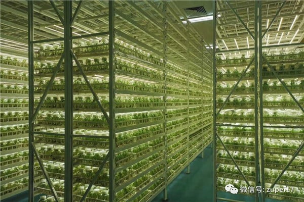 丝瓜视频在线播放儀器設備