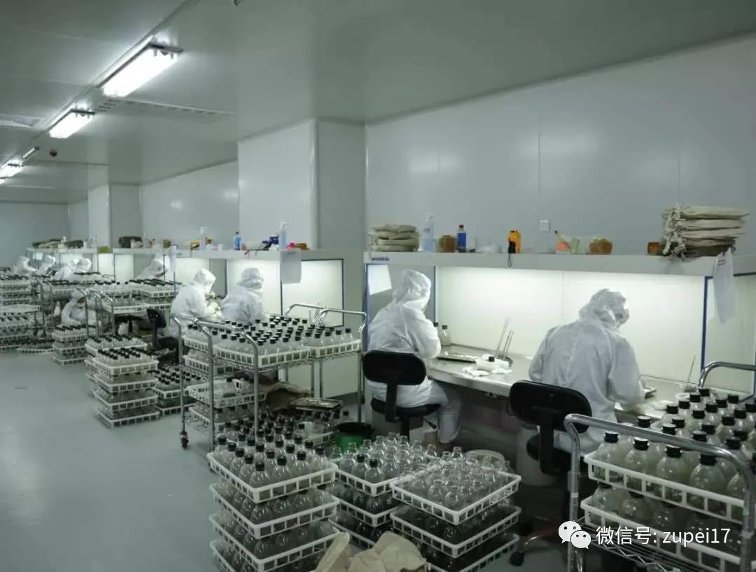 丝瓜视频在线播放